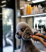 Grooming Essentials